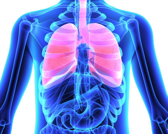 Illustration of an x-ray highlighting the lungs