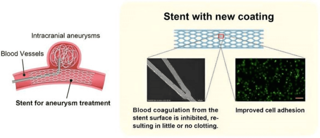 A scientific illustration with a focus on medical technology. It is divided into three main sections. On the left, there is a detailed diagram of a blood vessel with an intracranial aneurysm, labeled with text in black font, showing a stent for aneurysm treatment. The middle section features a close-up image of a stent with a new coating, accompanied by a microscopic view of the stent surface, highlighting the inhibition of blood coagulation, with a caption in black text. The right section displays a microscopic image showing improved cell adhesion, with numerous small green dots on a black background. The overall layout is informative, using a combination of diagrams, microscopic images, and descriptive text to convey the benefits of the new stent coating.