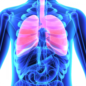 Illustration of an x-ray highlighting the lungs