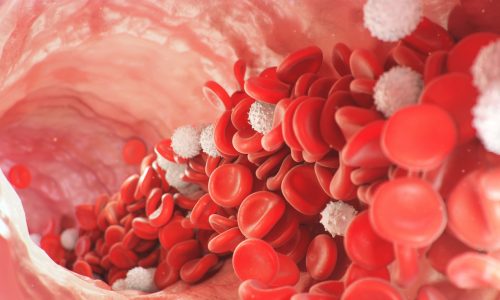 Red and white blood cells move inside the artery. Red blood cells carry nutrients for the whole body, for example, oxygen. Medical science illustration. 3d rendering