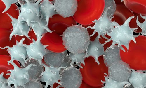 red blood cells,activated platelet and white blood cells microscopic photos